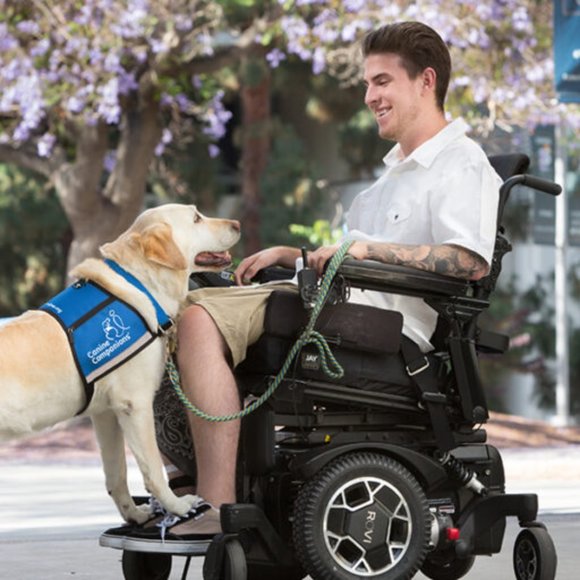 SERCOVE Airline Approved Collapsible Medium Sized Dog/Cat Carrier ( 20 Lbs.max) - Picture 10 of 17